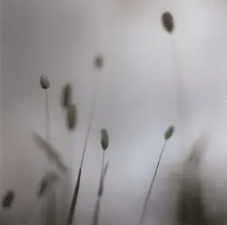 Float by Peter Broderick