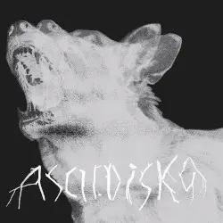 Moshpit Poetry by Ascii.Disko