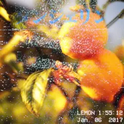 🍋 by ⦓🍊⦔ タンジェリン