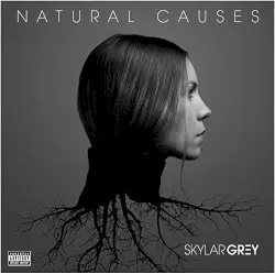 Natural Causes by Skylar Grey