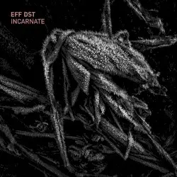 incarnate by EFF DST