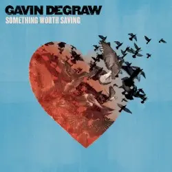 Something Worth Saving by Gavin DeGraw