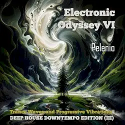 Electronic Odyssey VI by Pelenio