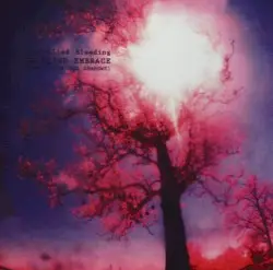 In Blind Embrace (Songs From the Shadows) by Controlled Bleeding