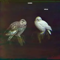 Häxan by Dungen