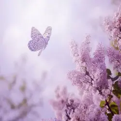 Dance of Life by Peder B. Helland