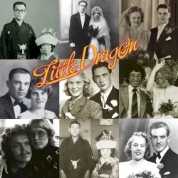 Ritual Union by Little Dragon