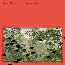 Option Explore by Dylan Moon
