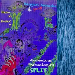 Anomalous Trackologies Split by Heavy Insect / Haggari Nakashe& gaop