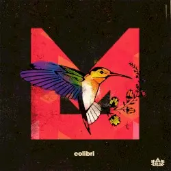 Colibri by Morillo