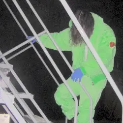.ZIP by BONES