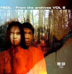 From the Archives, Vol. 6 by The Future Sound of London