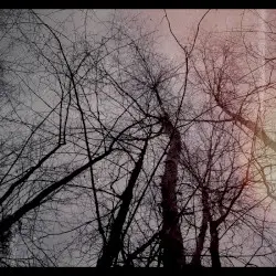 The Release by Plexus