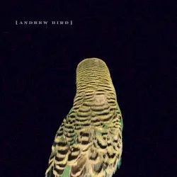 Armchair Apocrypha by Andrew Bird