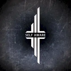 Self Aware by Scraton