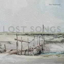 Lost Songs by Ollo