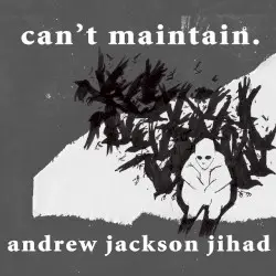 Can’t Maintain by Andrew Jackson Jihad