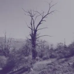 Dust Resonance by Zimoun