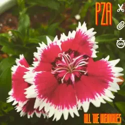 ALL THE MEMORIES by PZA