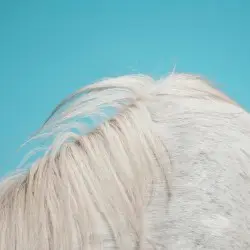All Yours by Widowspeak