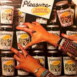 Accept No Substitutes by Pleasure