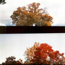 Summer Made Me Blue; Summer Gave Me Sky by Ricky Eat Acid