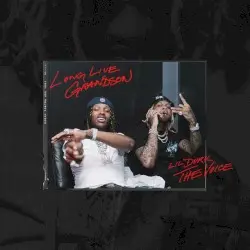 The Voice by Lil Durk
