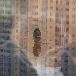 唱着那无人问津的歌谣 by Organ Tapes