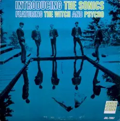 Introducing the Sonics by The Sonics