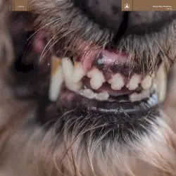 World Eater by Blanck Mass