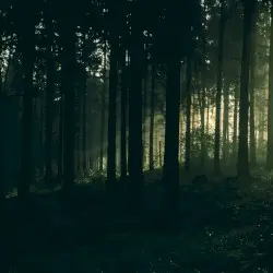The Loss of What We Keep (Unused Film Score 2019) by Steven R. Smith