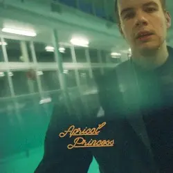 Apricot Princess by Rex Orange County