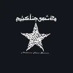 Madrass Sitar Burner by Muslimgauze