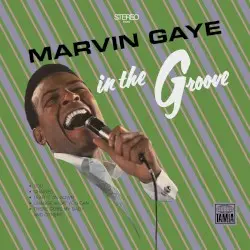 In the Groove by Marvin Gaye
