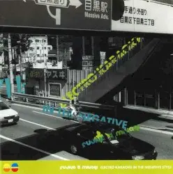 Electro Karaoke in the Negative Style by Fujiya & Miyagi