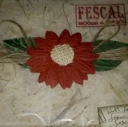 Moods & Views by Fescal
