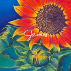 James by Lowercase Noises