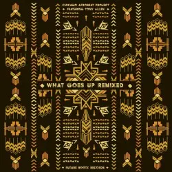 What Goes Up (Remixed) by Chicago Afrobeat Project feat. Tony Allen
