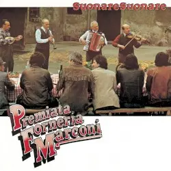 Suonare suonare by Premiata Forneria Marconi