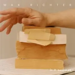 In a Landscape by Max Richter