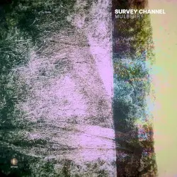 Mulberry by SURVEY CHANNEL