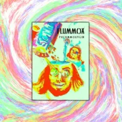 Phlummoxygen by Flummox