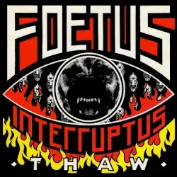 Thaw by Foetus Interruptus