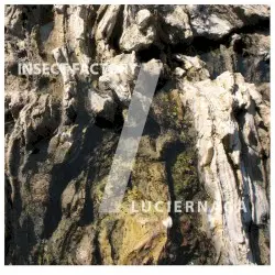 Split by Insect Factory / Luciernaga