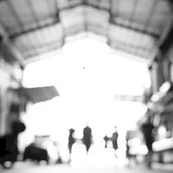 The Open Shutter by Morphose