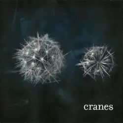 Cranes by Cranes