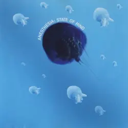 State of Mind by Anesthesia