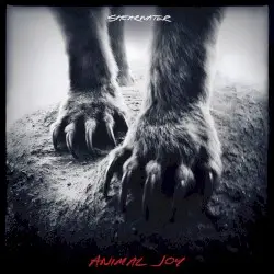 Animal Joy by Shearwater