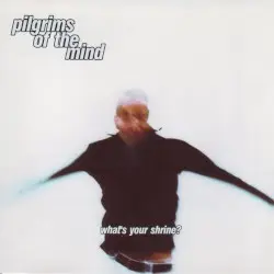 What's Your Shrine? by Pilgrims of the Mind