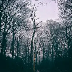 Liminal by Adam Fielding